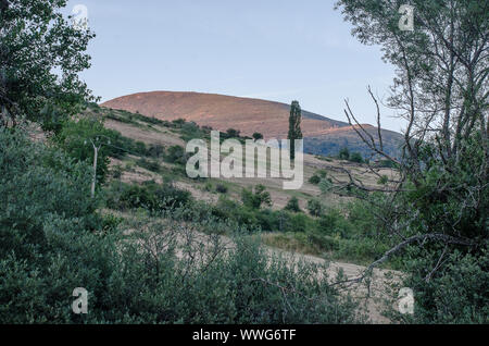 Spanien. Wald in der Umgebung von de Herreruela Castilleria. Palencia Stockfoto