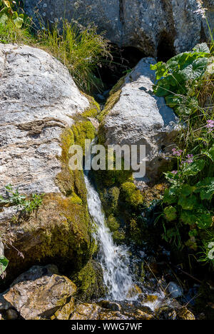 Spanien. Cueva Kupfer, Geburt des Flusses Pisuerga im Nationalpark von Fuentes Carrionas. Palencia Stockfoto