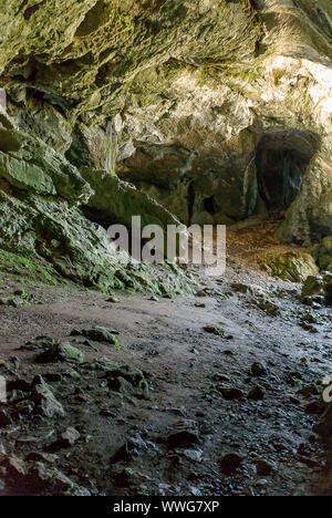 Spanien. Cueva Kupfer, Geburt des Flusses Pisuerga im Nationalpark von Fuentes Carrionas. Palencia Stockfoto