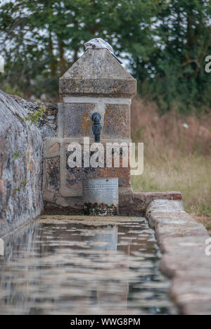 Spanien. Trinken Trog oder typische Pilon im Nationalpark von Fuentes Carrionas. Palencia Stockfoto