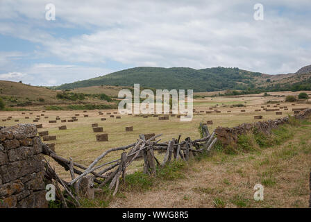 Landschaft der Palencia Berg. Palencia Stockfoto