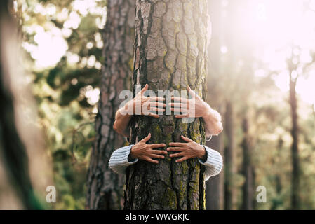 Umwelt Menschen rettet die Erde und Stopp der Abholzung Konzept mit versteckten Paar der älteren Umarmen mit Liebe eine alte Big Tree Kiefer im Wald - Stockfoto