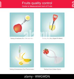 Probe Abbildung veranschaulichen Measurement Tool von Früchten für die Qualitätskontrolle. 3D-Darstellung. Stock Vektor