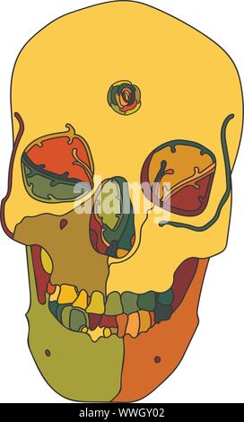 Herbst Farbe Schädel Vector Illustration Stock Vektor