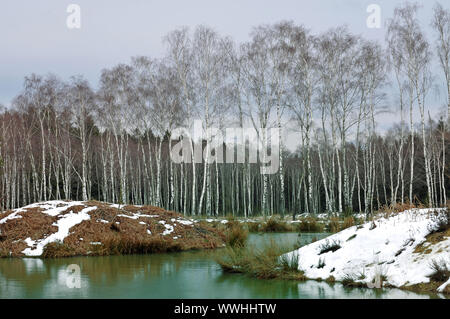 Naturpark Hohes Venn-Eifel Stockfoto