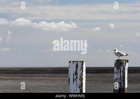 Alles unter Kontrolle Stockfoto