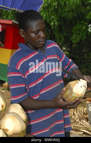 Straßenhändler öffnet grünen Kokosnuss, Ghana Stockfoto