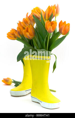 Wenig regen Stiefel und frische Tulpen Stockfoto