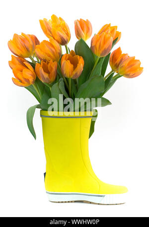 wenig Regen Stiefel und frische Tulpen auf weißem Hintergrund Stockfoto