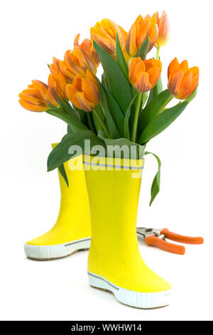 Wenig regen Stiefel und frische Tulpen Stockfoto