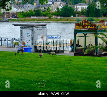 Koblenz, Deutschland - August 9, 2019: Ein Junge spielt mit Gänse auf dem Gras in der Nähe der Ufer des Rheins in Koblenz, Deutschland Stockfoto