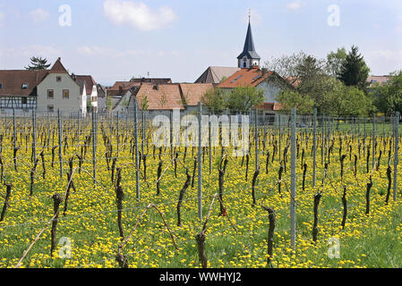 Mörzheim in der südlichen Pfalz Stockfoto