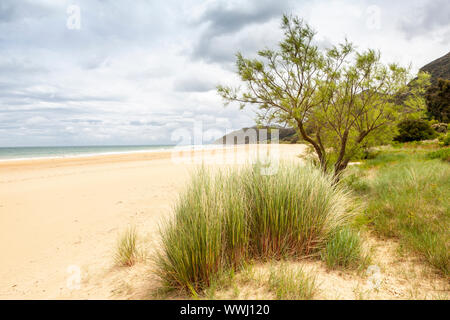 Trengandin Beach in der Nähe von Dorf Noja, Kantabrien, Spanien Stockfoto