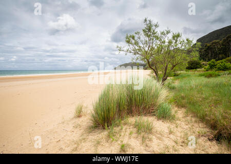 Trengandin Beach in der Nähe von Dorf Noja, Kantabrien, Spanien Stockfoto