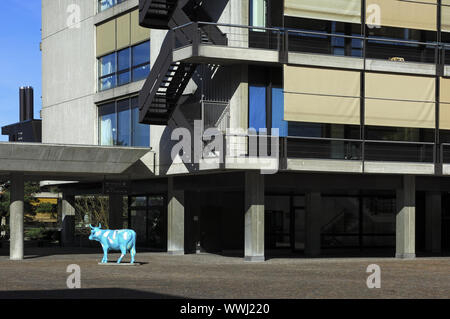 Zürich Kuh Kultur Stockfoto