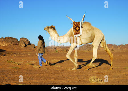 Tuareg mit Mehari Reiten Dromedar Stockfoto