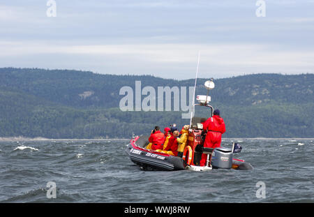 Beiboot Exkursion auf dem St.-Lorenz-Strom Stockfoto