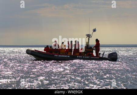 Beiboot auf den St.-Lorenz-Strom Stockfoto