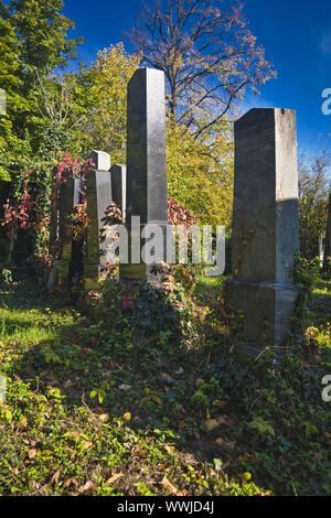 Herbst auf dem Zentralfriedhof in Wien, Österreich, Europa Stockfoto