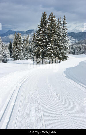 Frisch präparierte leer Langlaufloipe in Französische Alpen Stockfoto