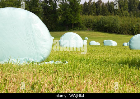 Heuballen in Plastiktüten Stockfoto