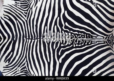 Zebra Haut Lederstruktur gemalt von einer Kuh Stockfoto