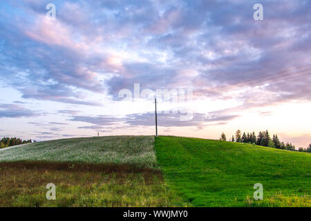 Steht eine Säule in der Mitte zentriert Stockfoto