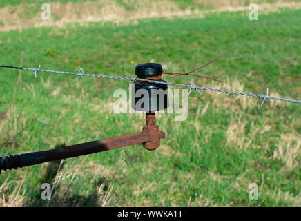 Alte vintage Rusty elektrische Glas Isolator Vieh auf der Weide zu halten. Stockfoto