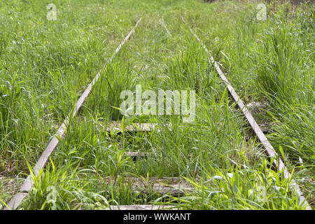 Stillgelegte Bahnstrecke in einem Hochmoor in Bayern Stockfoto