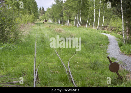 Stillgelegte Bahnstrecke in einem Hochmoor in Bayern Stockfoto