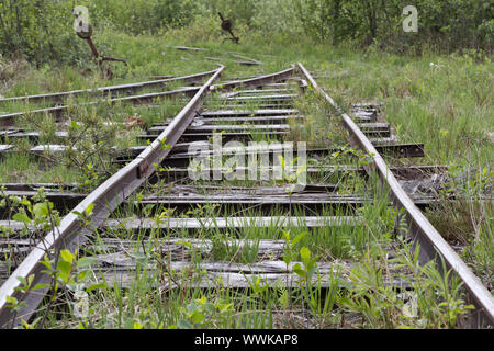 Stillgelegte Bahnstrecke in einem Hochmoor in Bayern Stockfoto