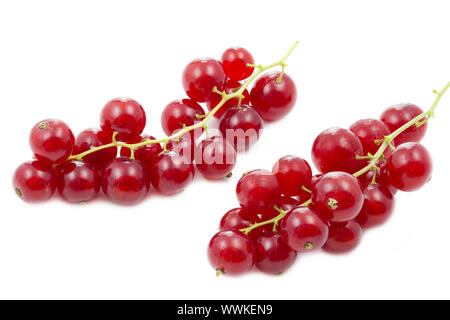 Frische rote Johannisbeeren Stockfoto