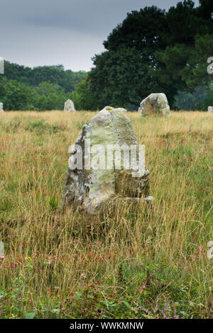 Vertikale Ansicht Ansicht von prähistorischen monolith Stein Ausrichtungen in der Bretagne bei Carnac Stockfoto