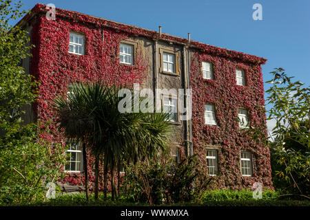 Irland Herbstliches Great Western Hotel Killarney mit Blick auf die Westfassade des Gebäudes, bedeckt mit rotem Efeu, das die Farbe der Blätter wechselt, wie das Herbstkonzept. Stockfoto