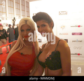 Modell Sophia Wollersheim und Erotikmodel Micaela Schäfer auf der Erotikmesse Venus 2013 in Berlin. Stockfoto