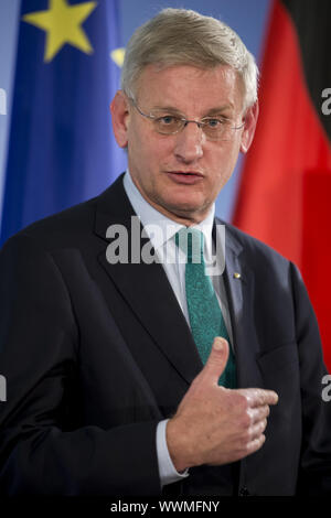 Der deutsche Außenminister Steinmeier trifft mit der schwedische Außenminister Carl Bildt in Berlin. Stockfoto