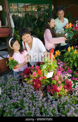 Familie einkaufen für Pflanzen Stockfoto