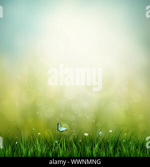 Gras, Blume und Schmetterling Stockfoto