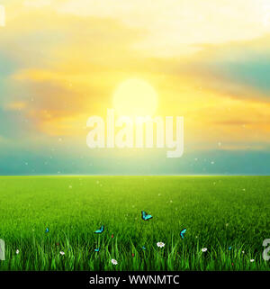 SummerVectorPC-19 Stockfoto