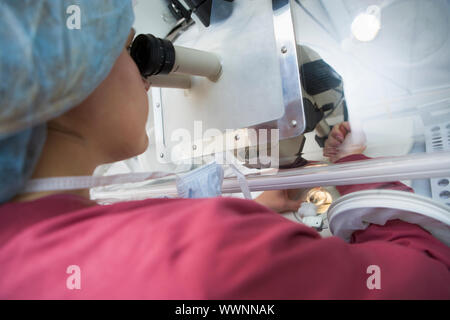 Embryologe hinzufügen Spermien zur Eizelle im Labor Stockfoto