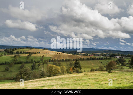 Tierzucht Weide Stockfoto