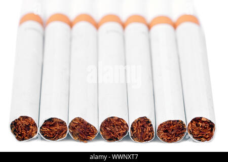 Gruppe von Cigarretes, die nebeneinander aufgereiht Stockfoto