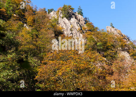 Bodetal Harz Harz hexen Treppe Blick auf die Felsen Stockfoto