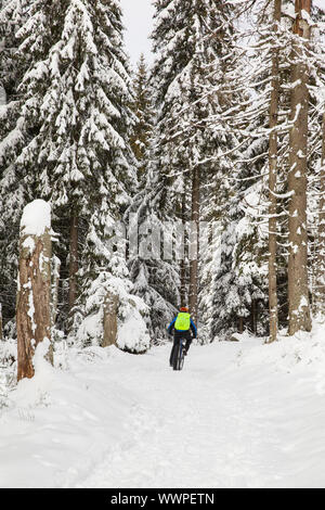 Wanderweg rund um den Oderteich im Winter Nationalpark Harz Stockfoto