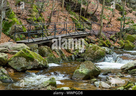 Nationalpark Harz Ilsetal Stockfoto