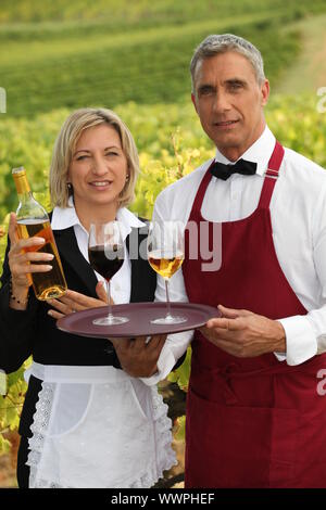 Kellner und Kellnerin serviert Wein Stockfoto