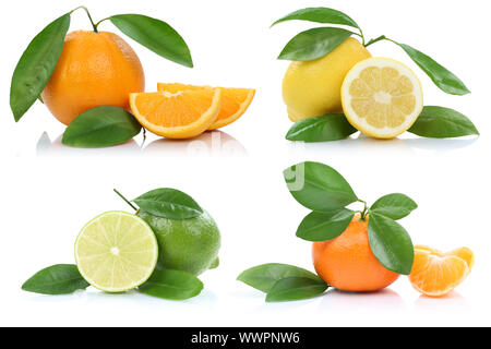 Collage Orangen Zitronen Mandarin Früchte isoliert Isolierte Mandarin Stockfoto