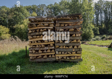 Gestapeltes Rundholz für die Trocknung in einem belgischen Wiese, Haufen von Protokollen. Stockfoto