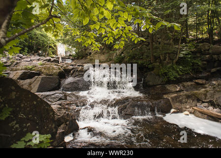 Wasserfall fließt über Felsen im Wald. Stockfoto