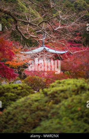 Daigoji Tempel in Ahornbäume, Momiji Saison, Kyoto, Japan Stockfoto